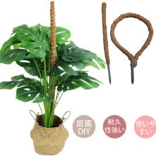 ココスティック 2点セット モンステラ支柱 観葉植物 支柱 園芸支柱 植物 ガーデニング用 花ささえ ココナッツ支柱 植物サポート つる性植物 トマト ポトス 園芸用 園芸支柱パーツ 高さ調整可能 ココナッツ モンステラ